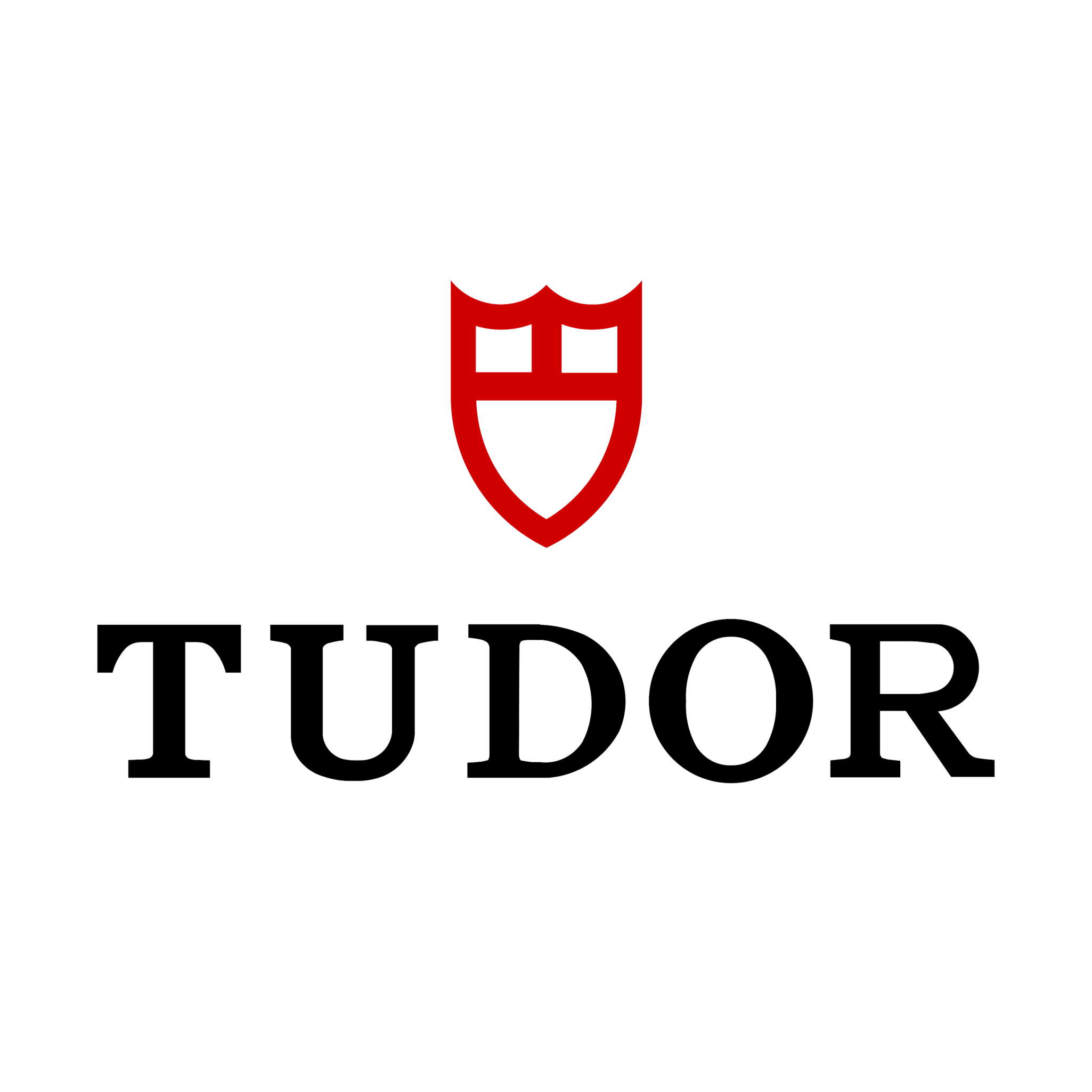 tudor2